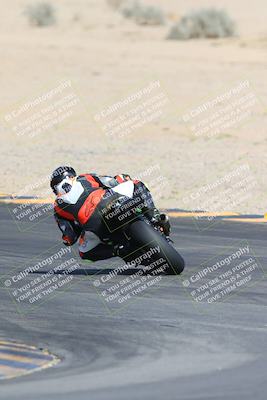 media/Mar-10-2024-SoCal Trackdays (Sun) [[6228d7c590]]/9-Turn 8 Backside (1150am)/